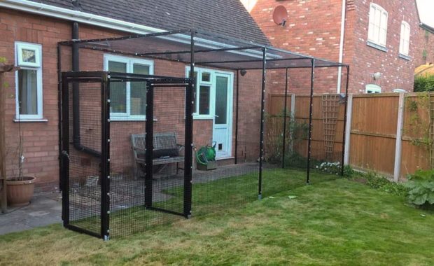 Catio