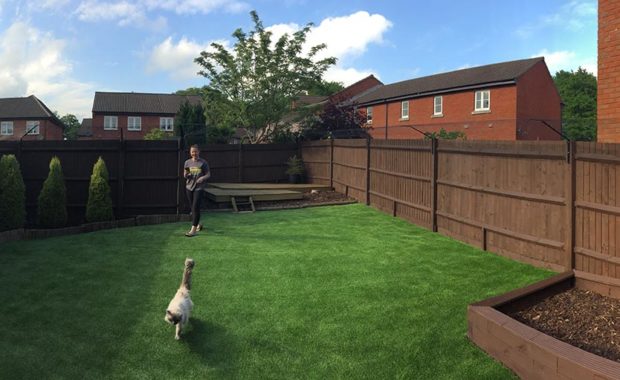 Cat Fence